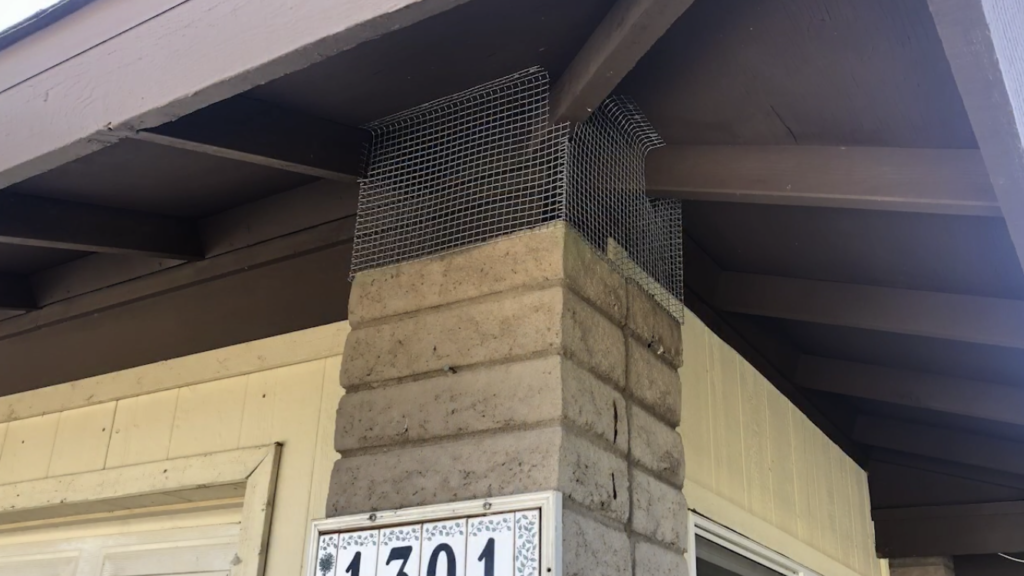 Residential Pigeon nest abatement with metal screen