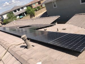 Pigeons love Solar Panels