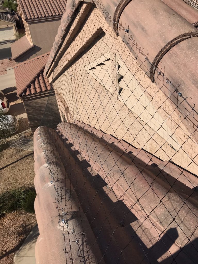 Pigeons love to sit on landings like this at residential homes in Arizona