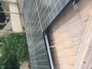 Perfect work by Pigeonpros on these solar panels