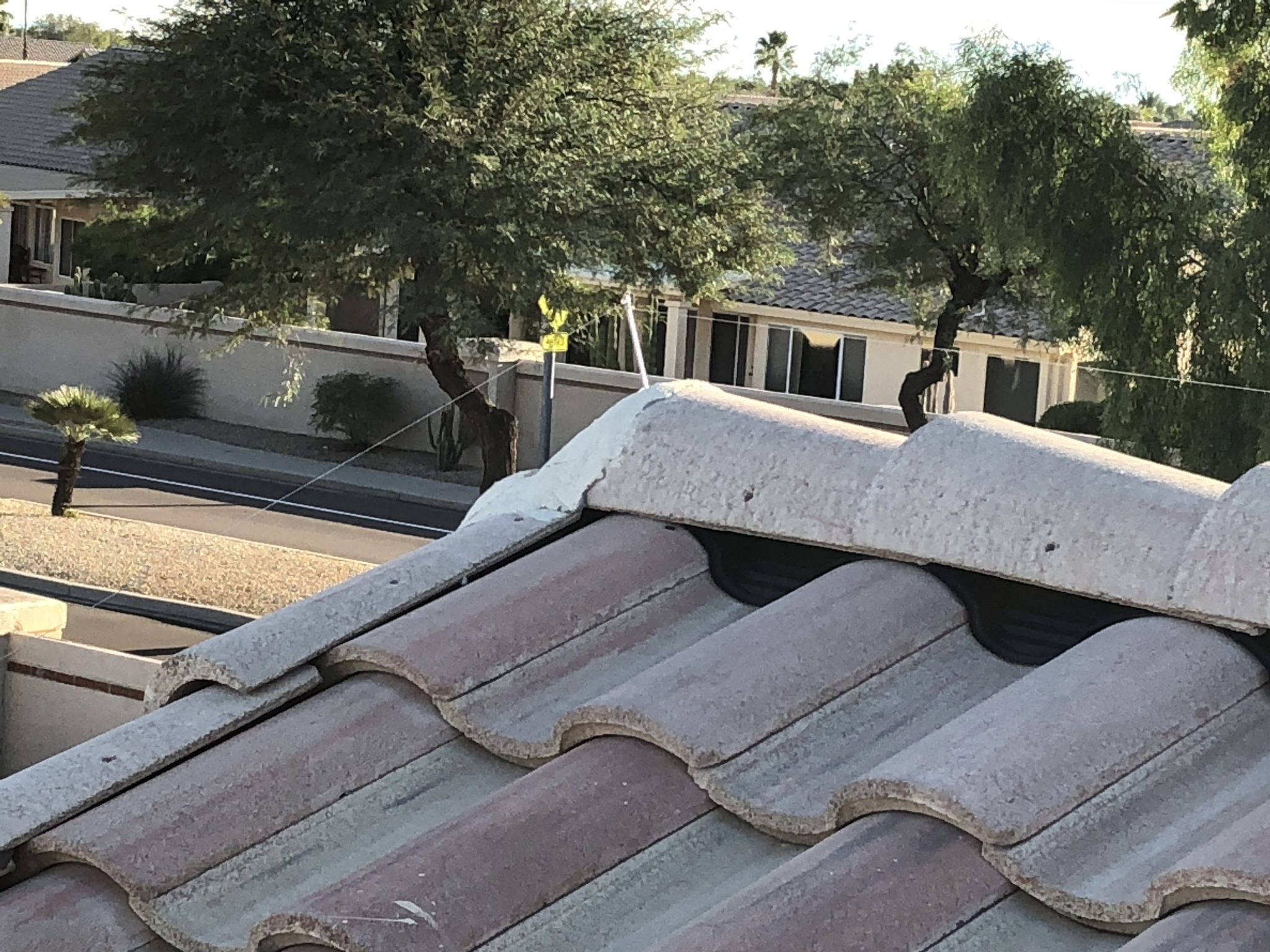 Pigeon Deterrent Installation