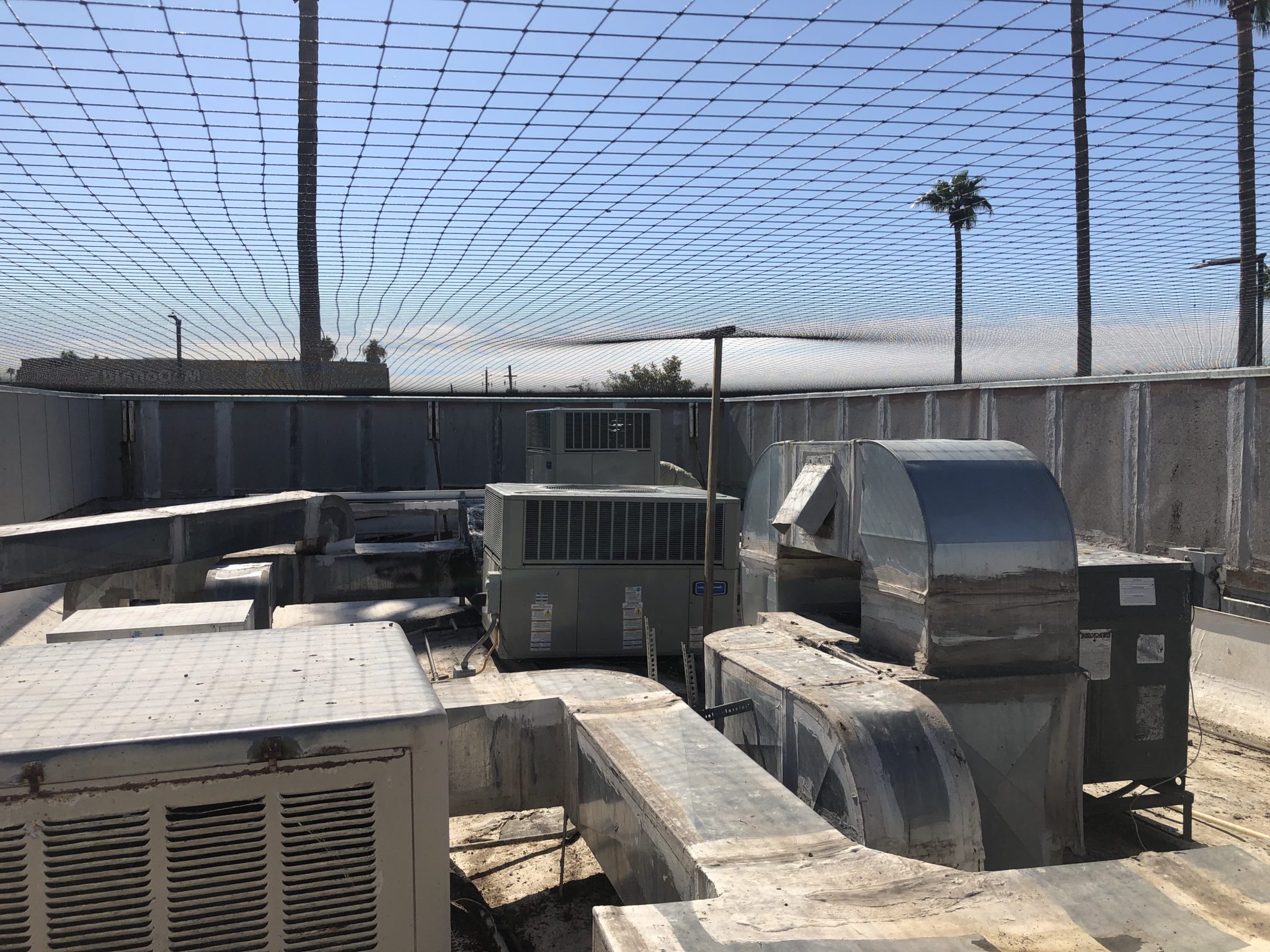 Pigeon Deterrent Installation