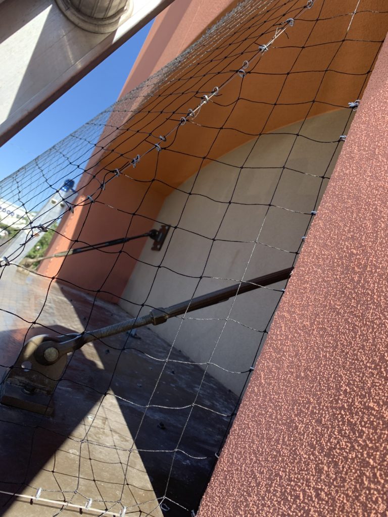 Pigeons used to wreak havoc here at the Taco Bell in Glendale Arizona. Not anymore
