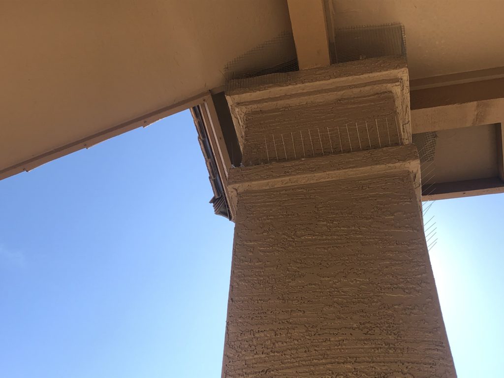 Pigeon Deterrent Installation