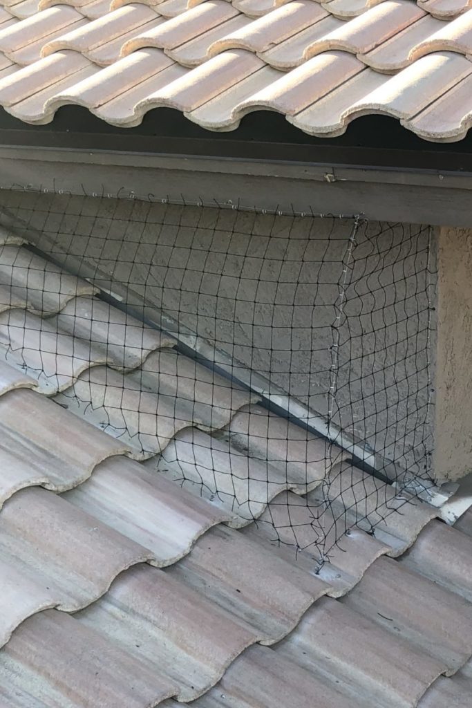 Pigeon Netting Installed by the Pigeonpros