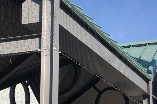 Commercial Pigeon netting installed by the Pigeonpros at a school