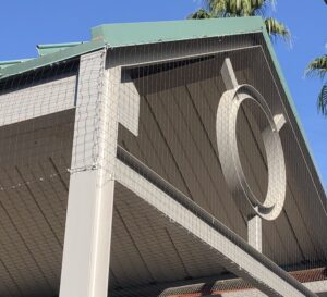 Pigeon and bird netting installed at a high school by the Pigeonpros