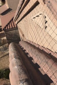 Professional Pigeon deterrent installation like pigeon netting