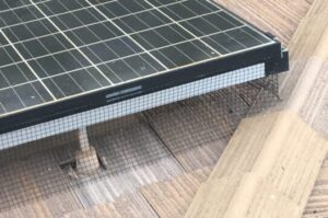 Pigeon abatement of solar panels on a flatroof