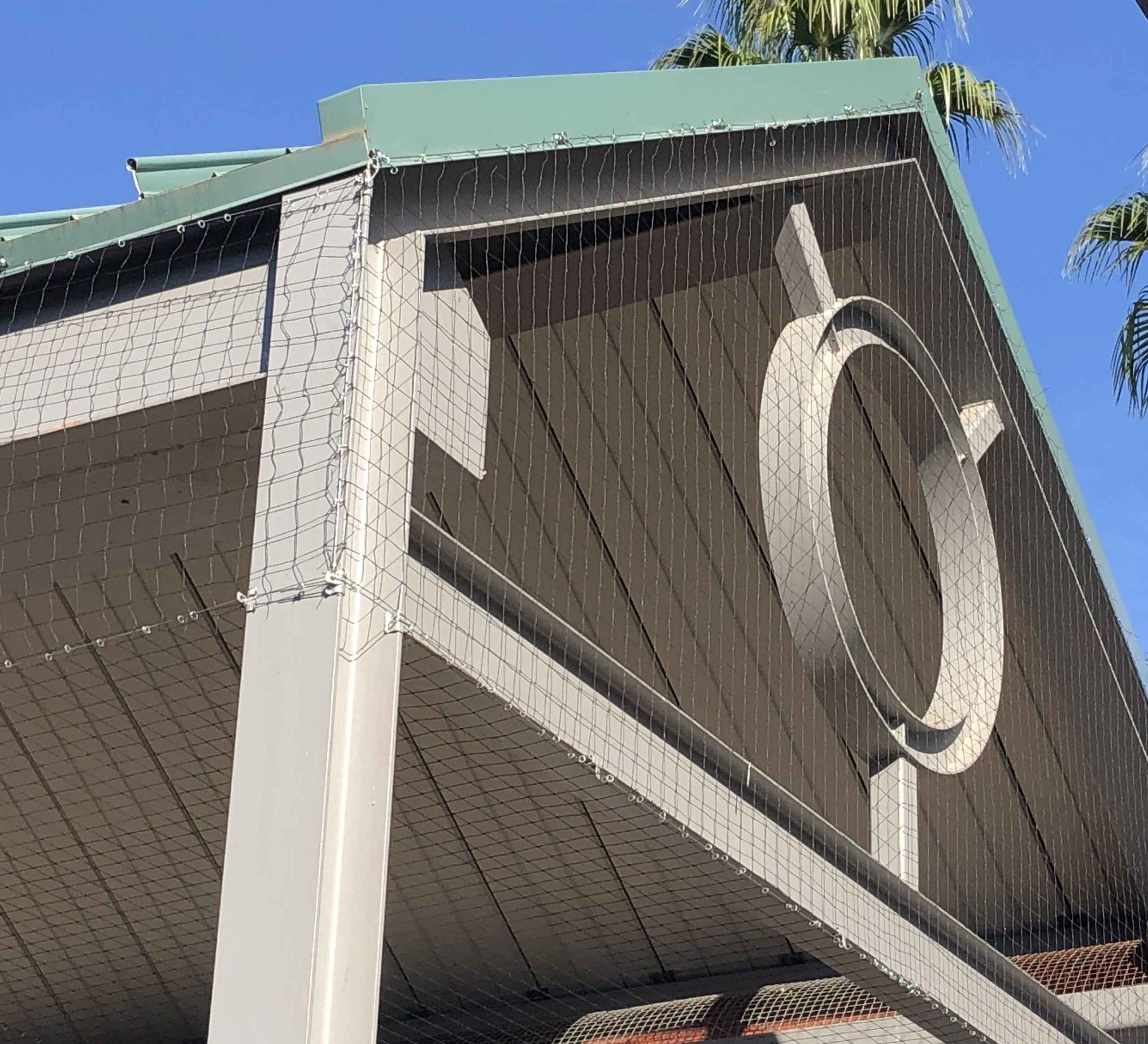 Pigeon and bird netting installed at a high school by the Pigeonpros