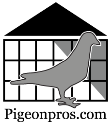 Pigeonpros logo