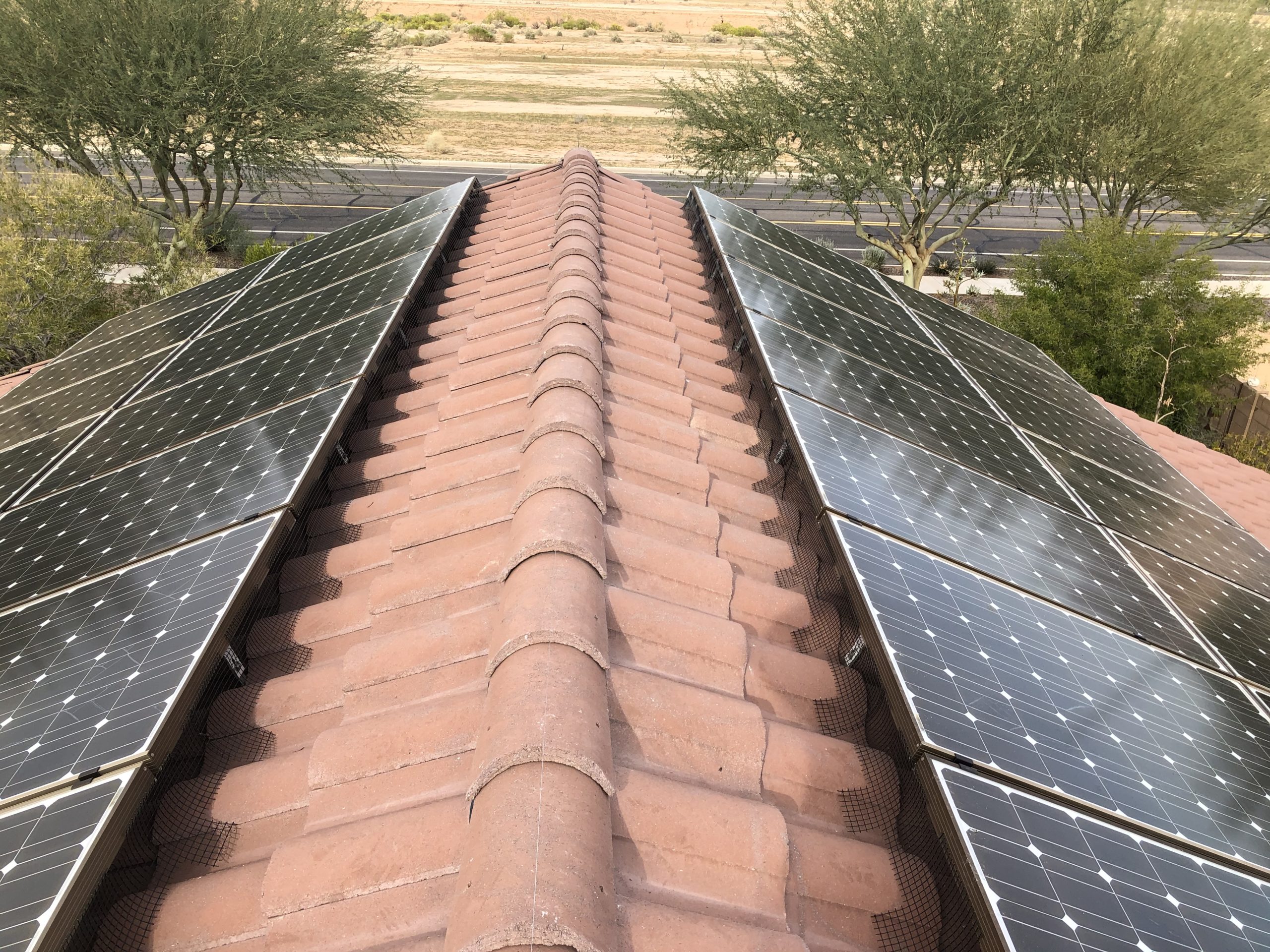 Pigeon abatement around the solar panels and birdwire installed across the peak by the Pigeon Pros