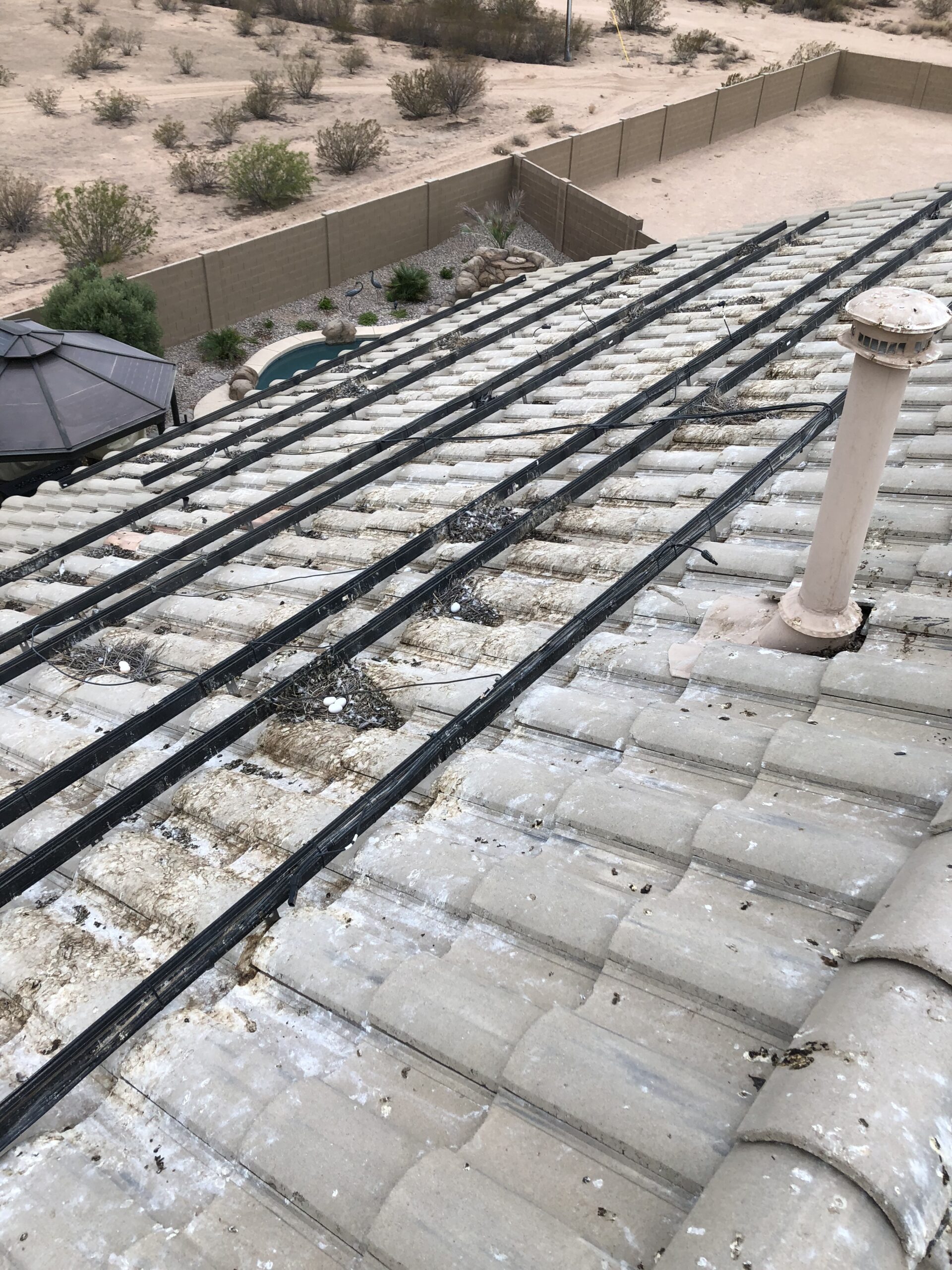 PIgeon droppings underneath the solar panels