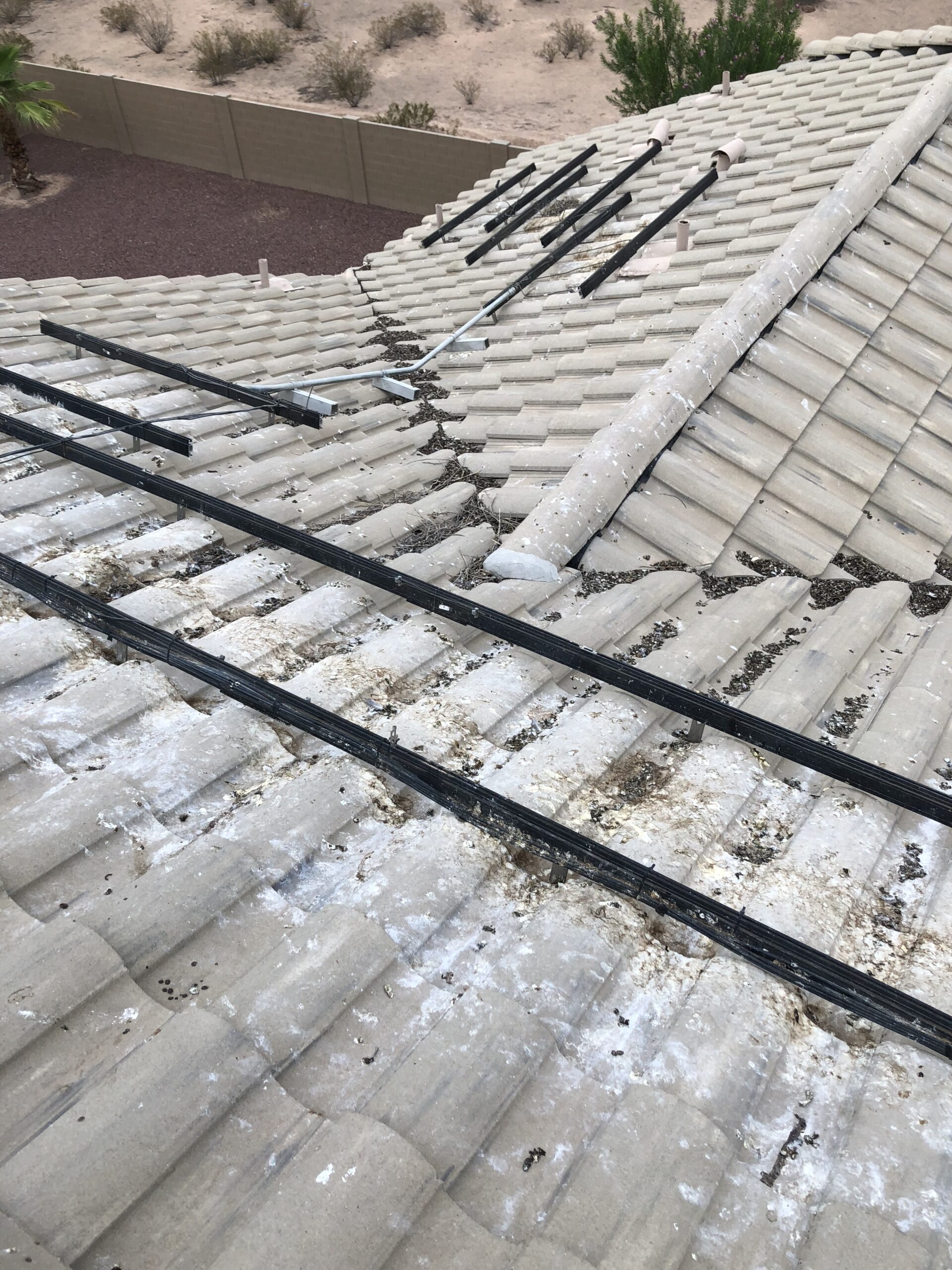 Look what we found underneath these solar panels