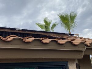 Check out the gap between the solar panels and the rooftop. Perfect for pigeons