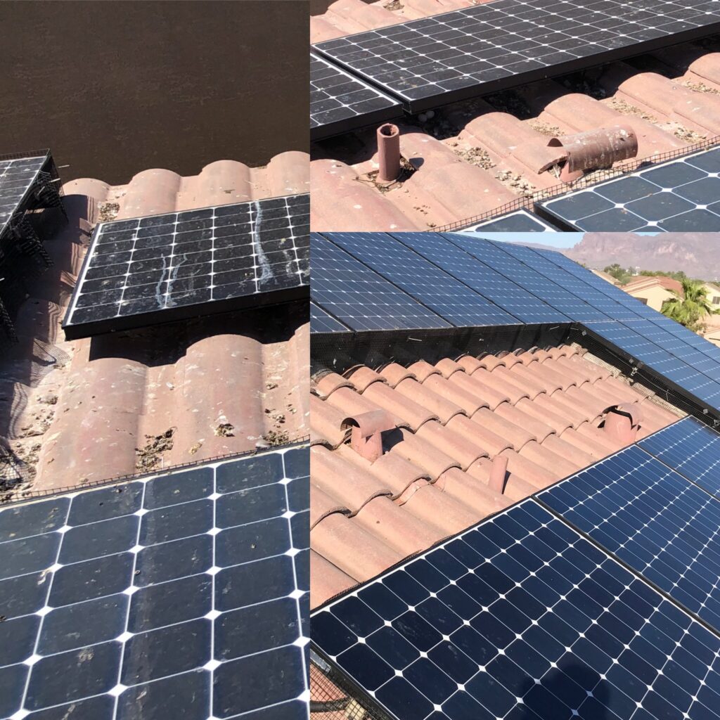 Before and after collage of pigeon abatement on solar panels