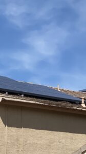 Pigeon droppings under solar panels