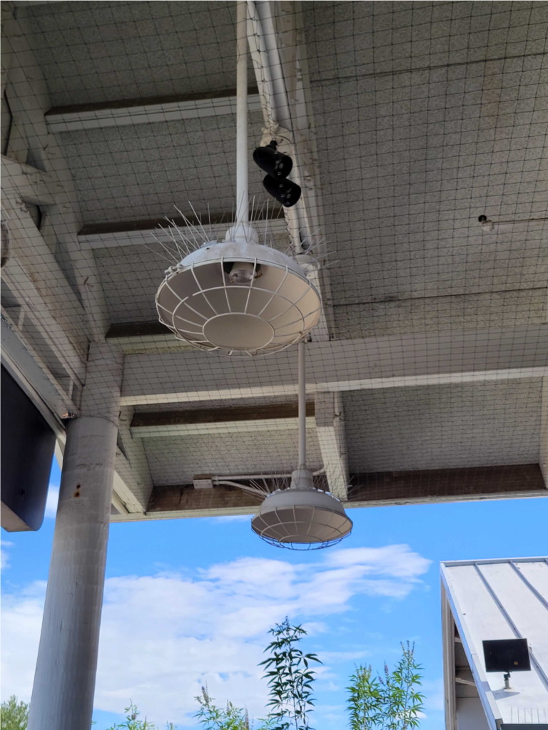 Spikes are sometimes the only option as in the case of these lights at the Red Lobster