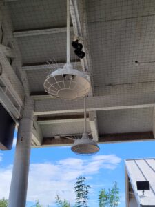 Pigeon netting and spikes installed at the Red Lobster