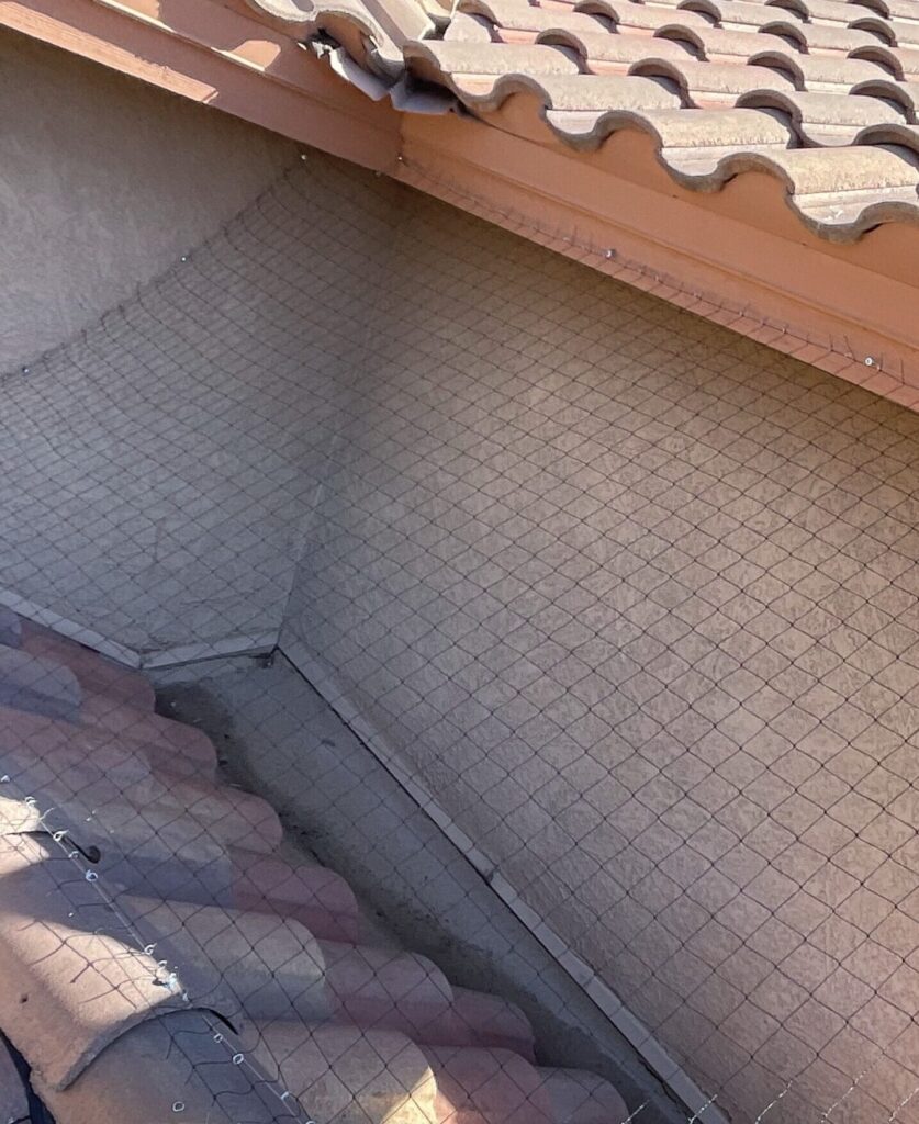 You may need pigeon netting like this one from Peoria Az to get control of your pigeons