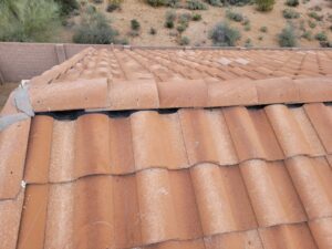 Birdwire on a residential rooftop ridge installed by the Pigeonpros in Phoenix AZ