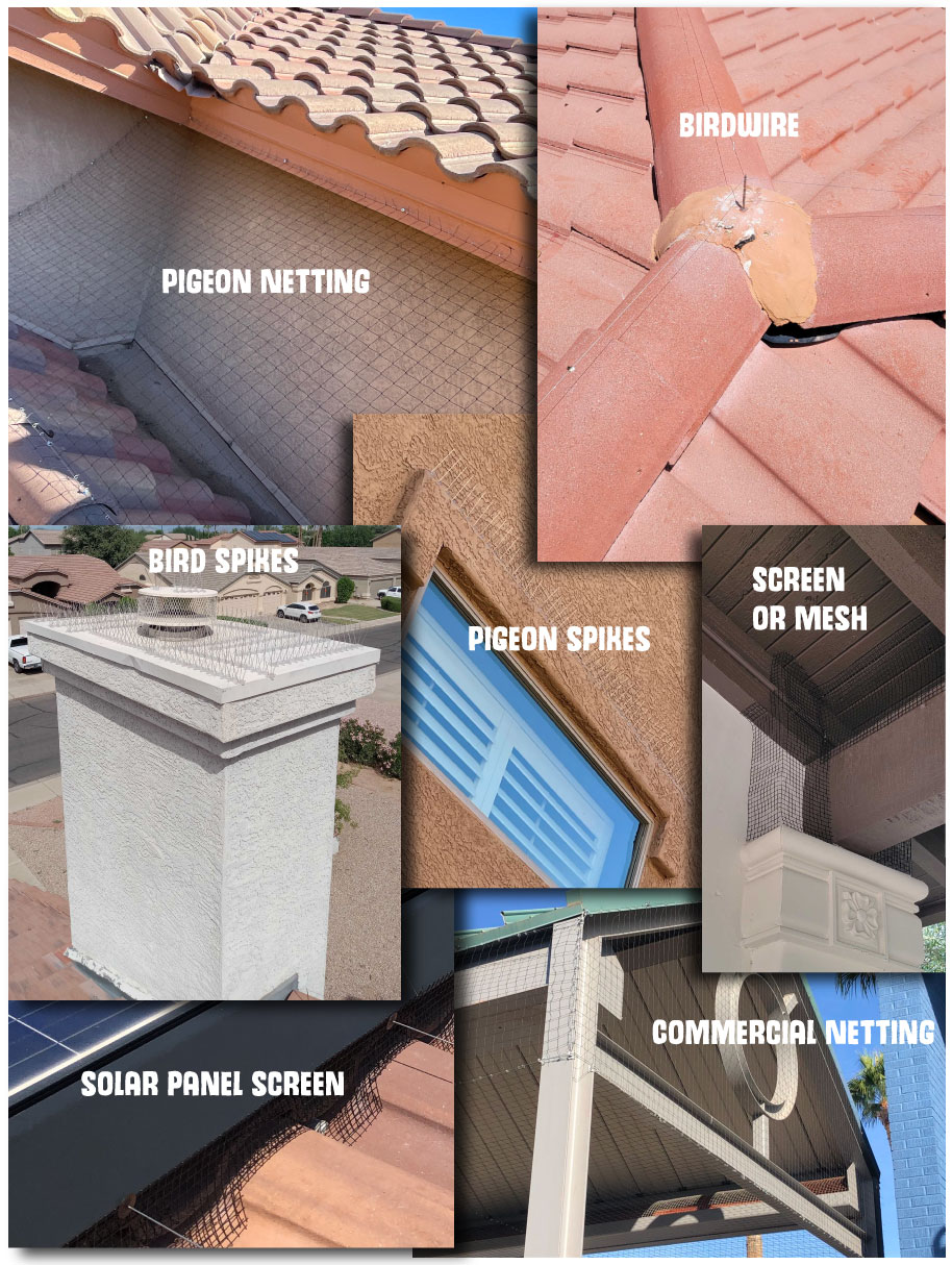 Pigeon Pros installs professional pigeon control deterrents