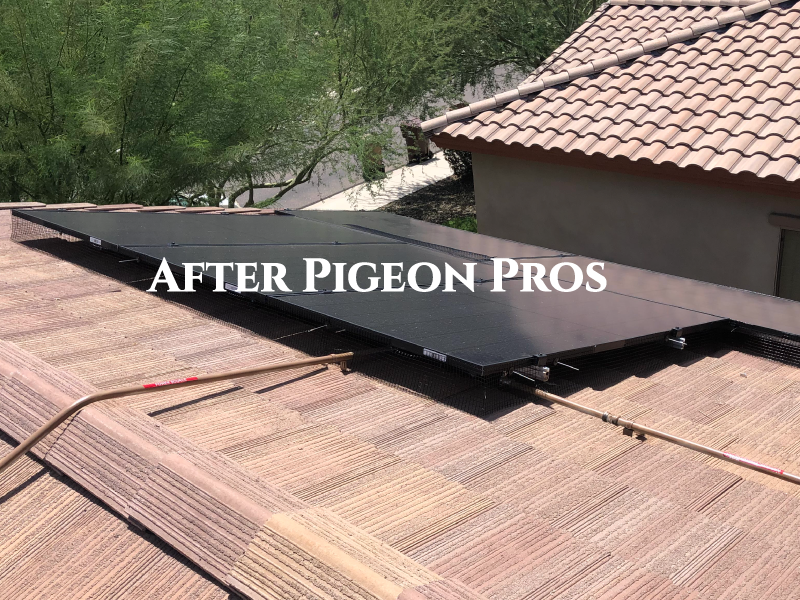 Your solar panels after Pigeon Pros