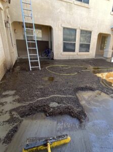 check out the mess that came down from these solar panels in Phoenix AZ