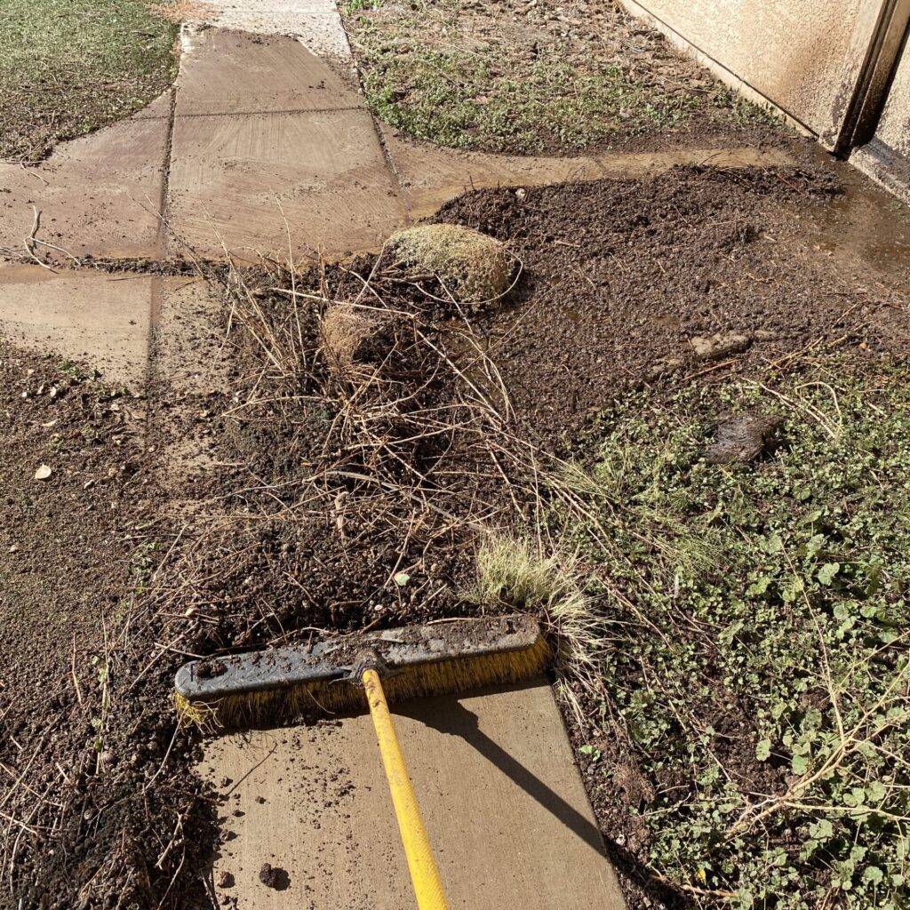 PIgeons can make a real mess