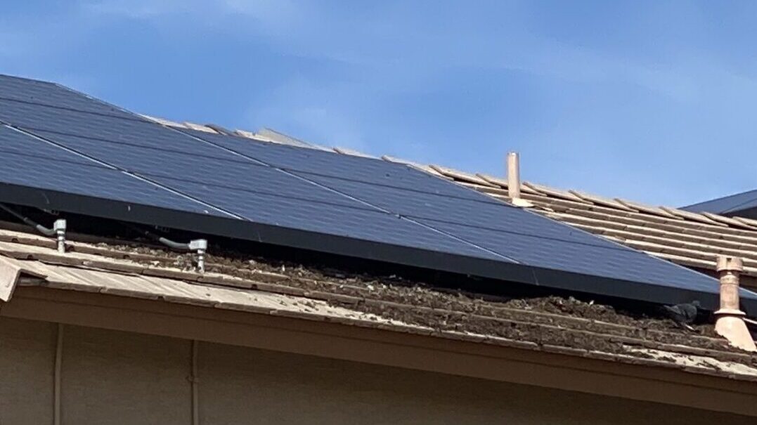 Pigeon droppings under solar panels