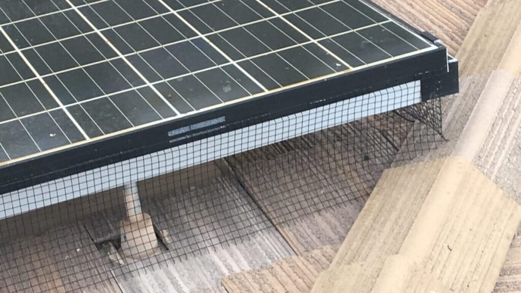 Pigeon abatement of solar panels on a flatroof