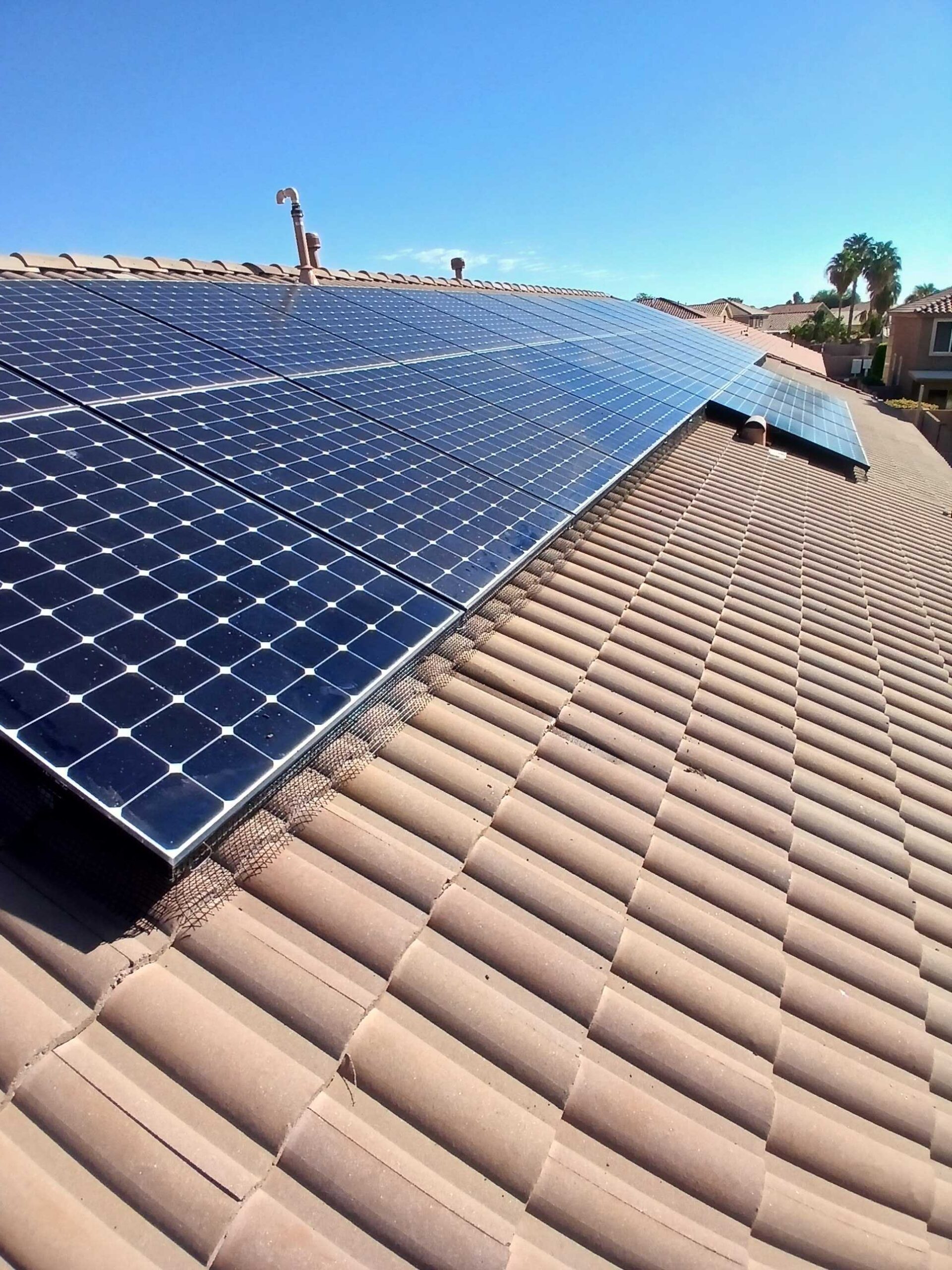 Solar panels with pigeon exclusion mesh along the edges above a clean tile roof