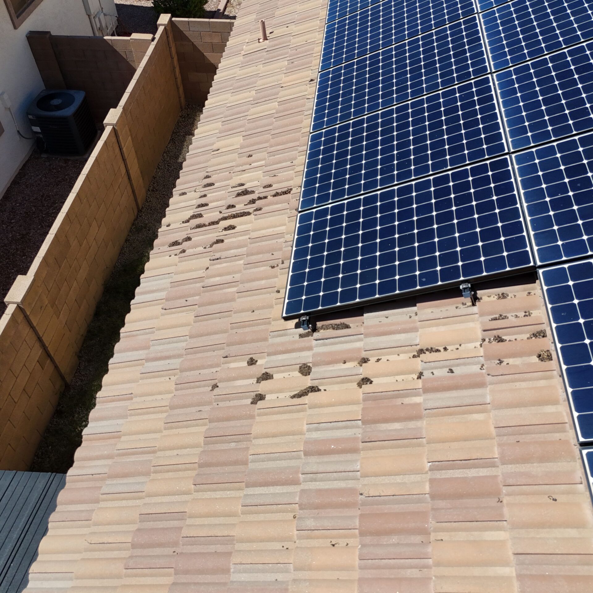 Pigeon droppings on roof tiles beside rooftop solar panels before cleanup