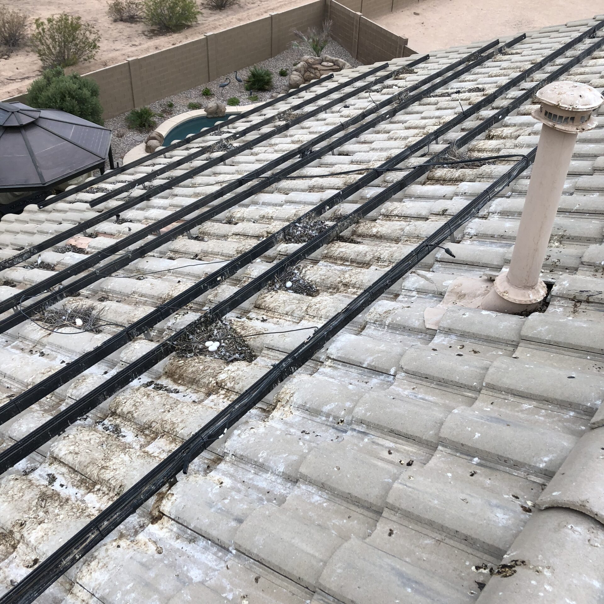 PIgeon droppings underneath the solar panels