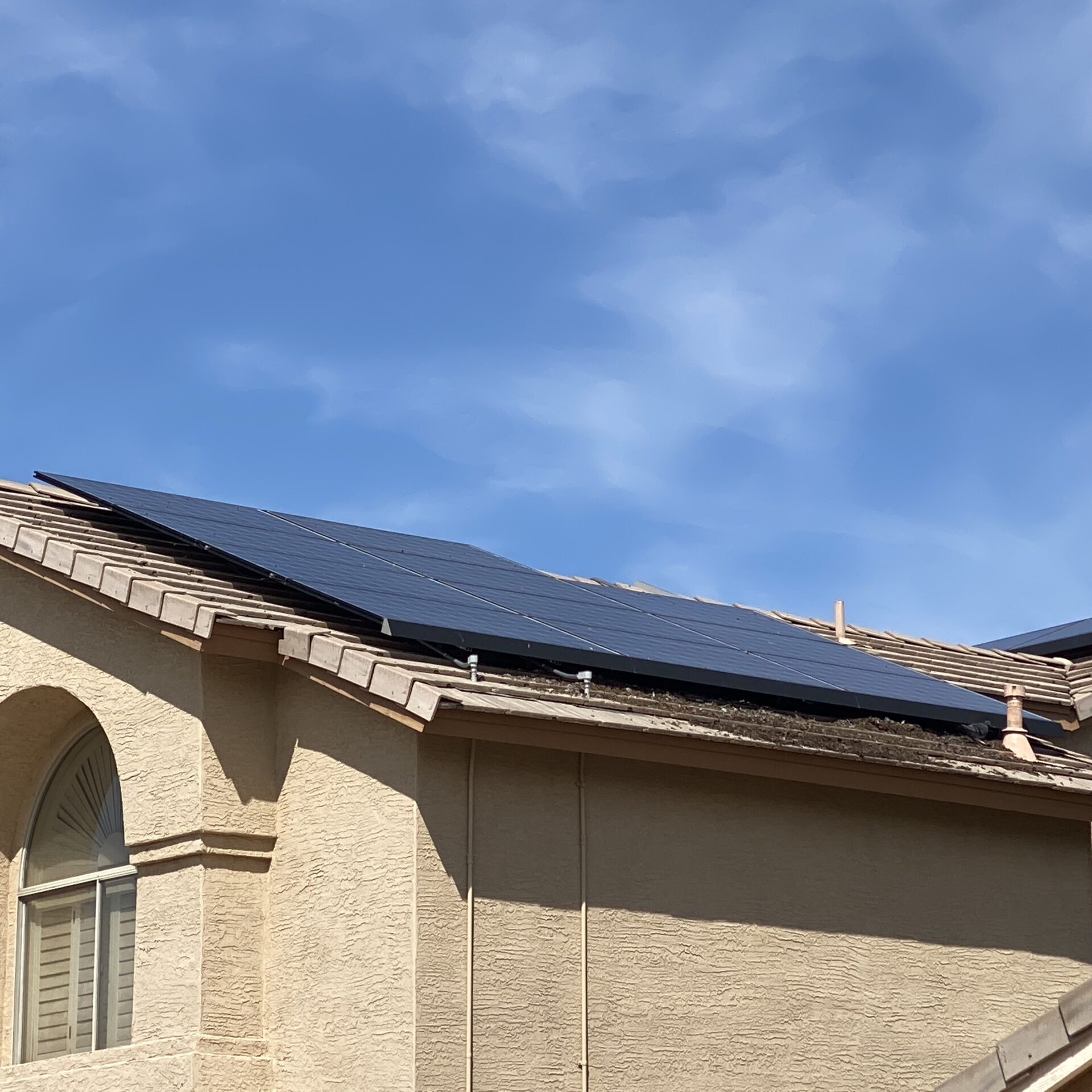 Pigeon droppings under solar panels