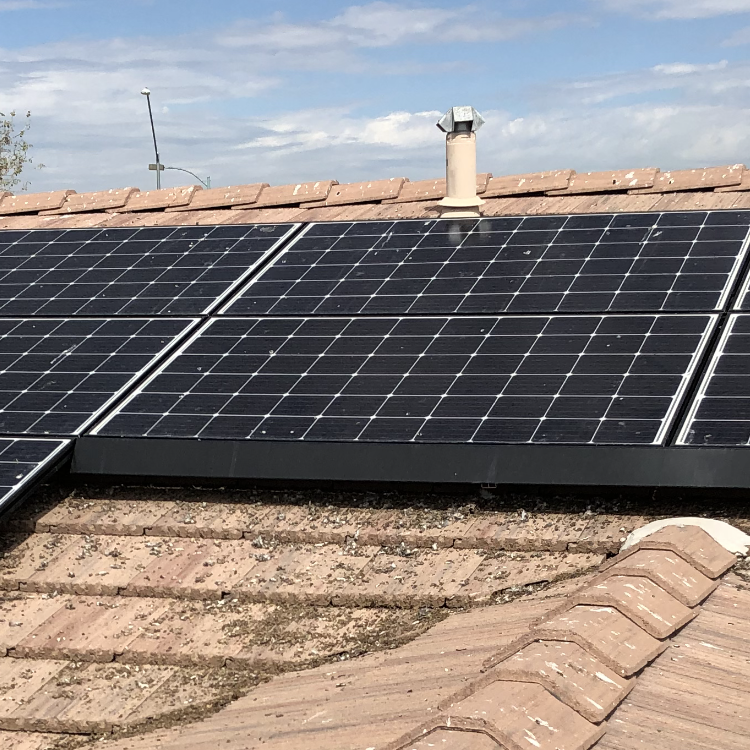 Pigeons love to get under your solar panels