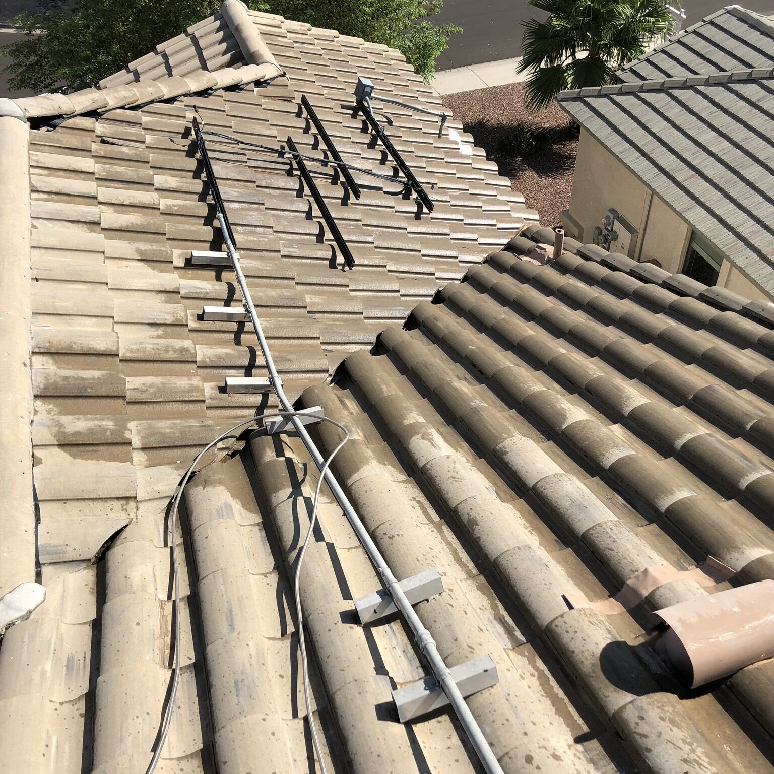 A Clean roof after pigeonpros pigeon cleanup and removal