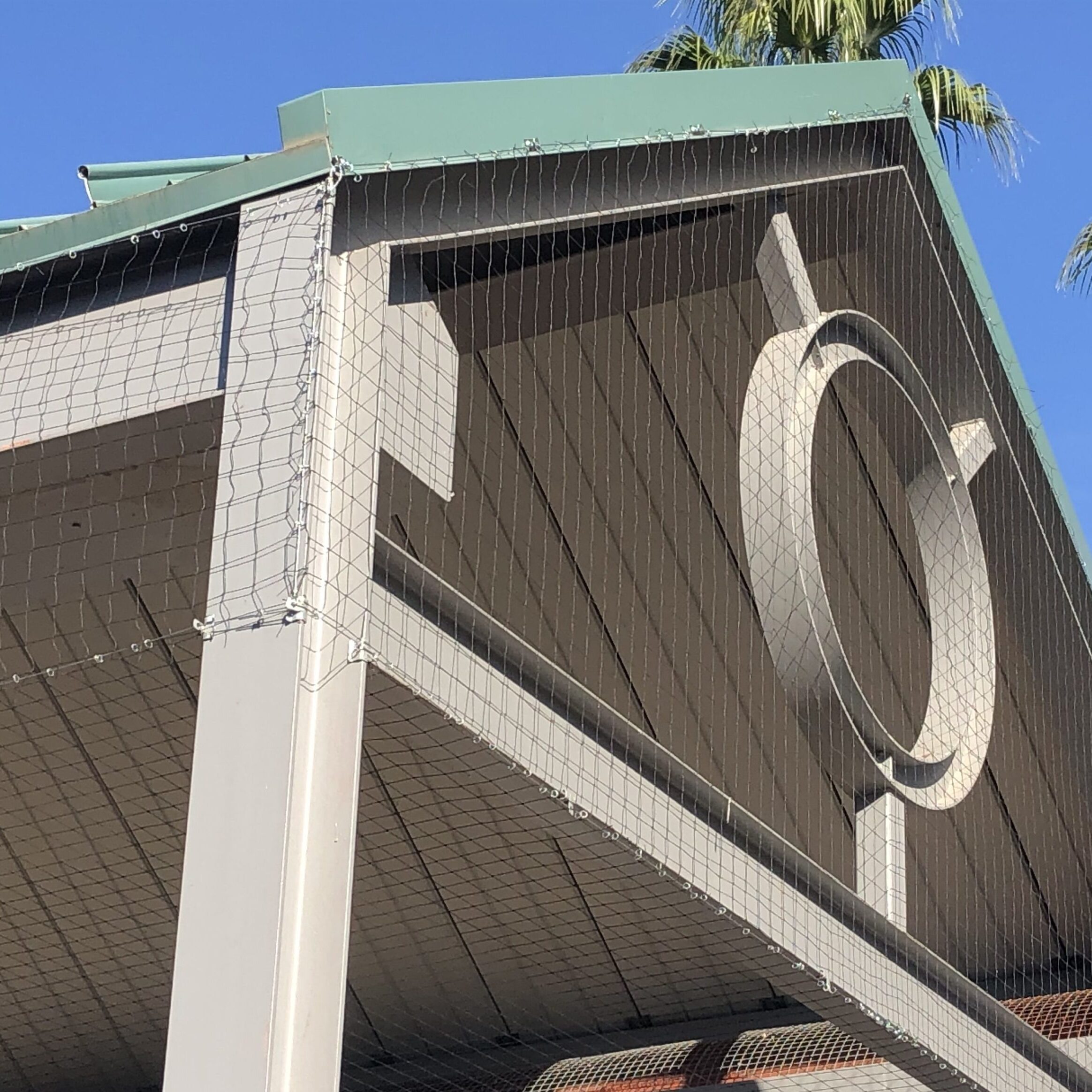 Pigeon and bird netting installed at a high school by the Pigeonpros