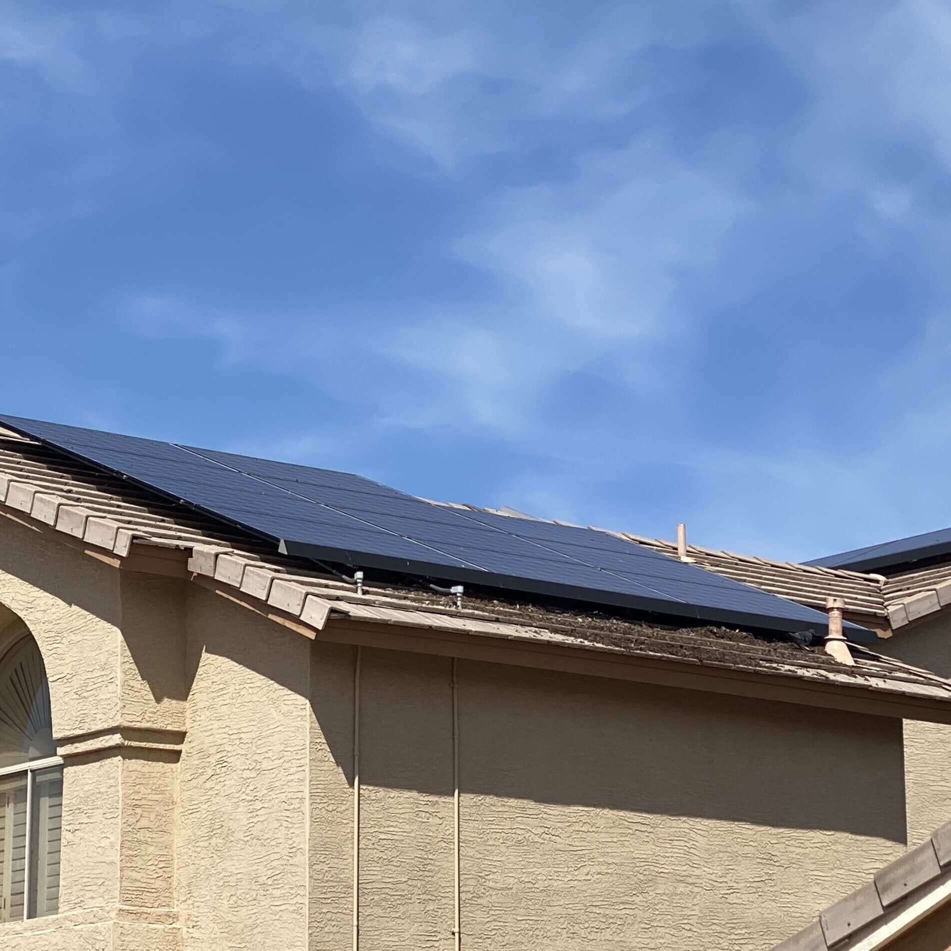 Pigeon droppings under solar panels