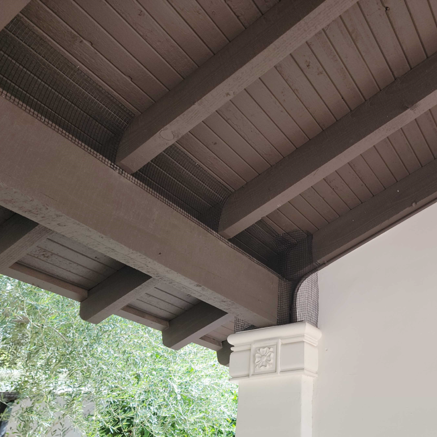 A beam and column screened to prevent pigeon perching